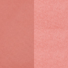 Pastel Profashion Duo Blush Set Check to Check 10 Hot Pink 