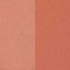 Golden Rose Iconic Blush Duo No:02 Peachy Coral 