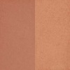 Golden Rose Iconic Blush Duo No:05 Warm Pearl 