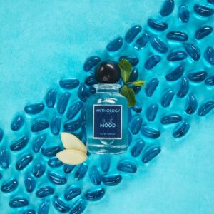 Anthology Blue Mood Erkek Parfüm Edp 100 Ml - 2