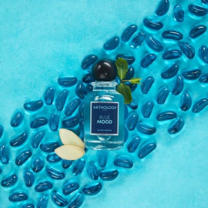 Anthology Blue Mood Erkek Parfüm Edp 100 Ml - 2