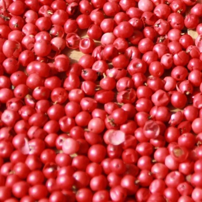 Anthology Elegant Vetyver Unisex Parfum Edp 100 Ml - 3