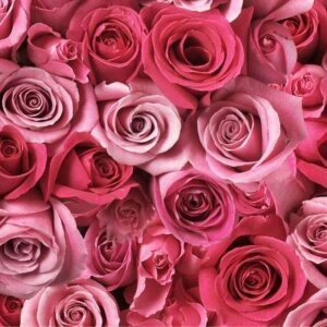 Anthology Lady First Kadın Parfüm Edp 100 Ml - 4