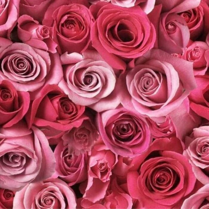 Anthology Lady First Kadın Parfüm Edp 100 Ml - 4