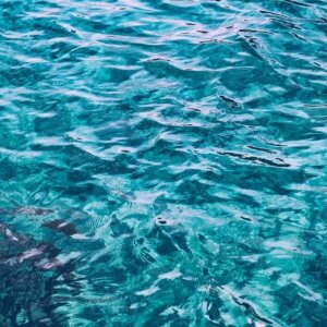 Anthology L'Homme Erkek Parfüm Edp 100 Ml - 4