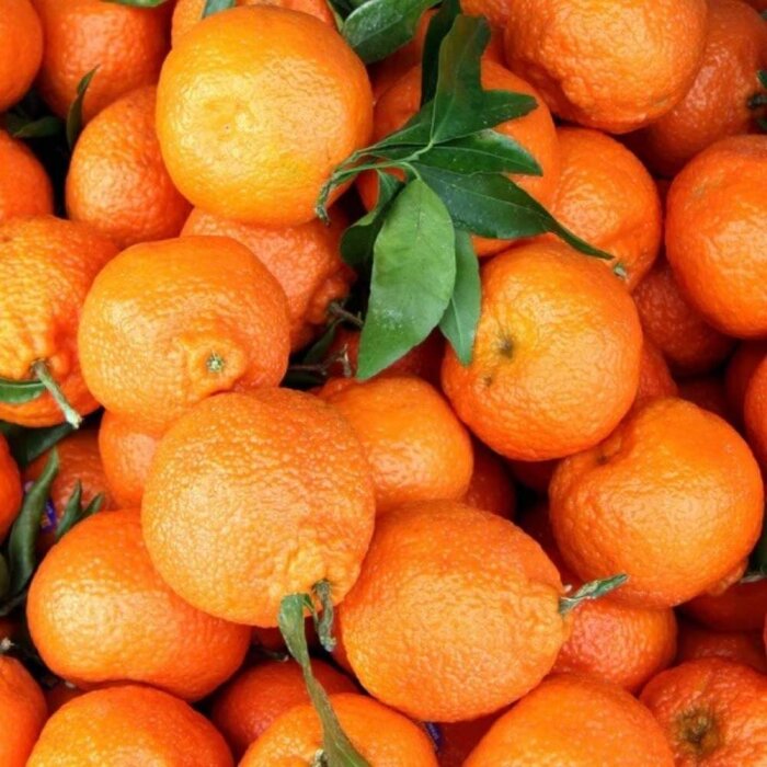 Anthology Oranger Riviera Kadın Parfüm Edp 100 Ml - 3