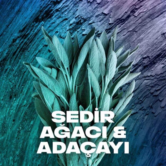 Axe Apollo Erkek Deodorant 150 Ml - 4