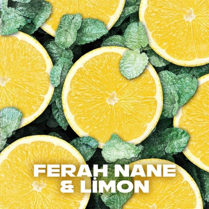 Axe Ice Chill Erkek Deodorant 150 Ml - 4