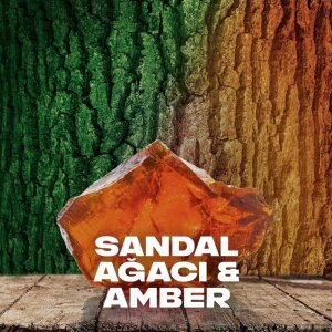 Axe Jungle Fresh Deo Spray 150 Ml - 4