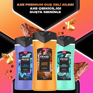 Axe Premium Collection Copper Santal 3in1 Duş Jeli 300 Ml - Thumbnail