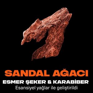 Axe Premium Erkek Deodorant Spray Cooper Santal 150 Ml - 3