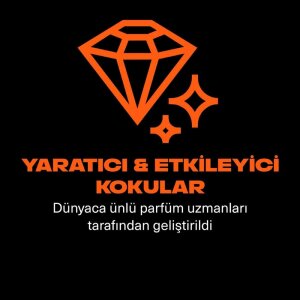 Axe Premium Erkek Deodorant Spray Cooper Santal 150 Ml - 4