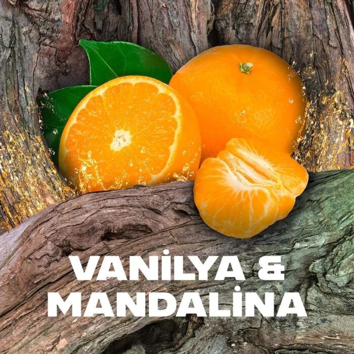 Axe Roll-On Africa 50 Ml - 3