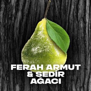 Axe Roll-On Black 50 Ml - 3