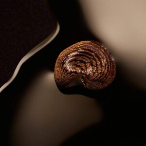 Boss The Scent Magnetic For Her Kadın Parfüm Edp 50 Ml - 4