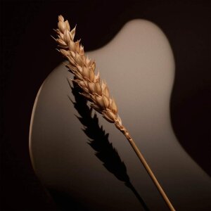 Boss The Scent Magnetic For Him Erkek Parfüm Edp 50 Ml - 4