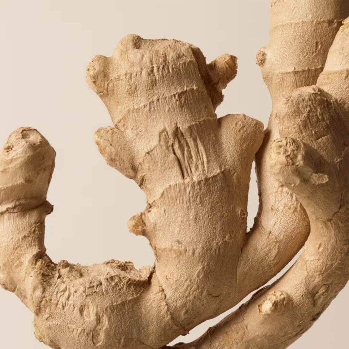 Burberry Brit Erkek Parfüm Edt 100 Ml - 3