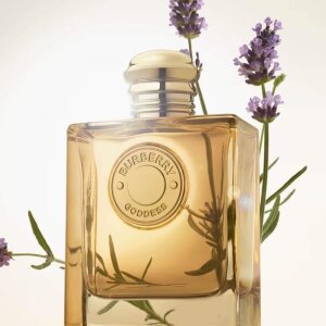 Burberry Goddess Intense Kadın Parfüm Edp 50 Ml - 3