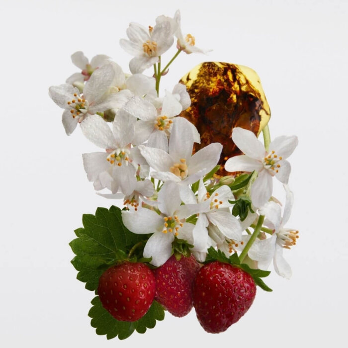 Burberry Her Intense Kadın Parfüm Edp 100 Ml - 5