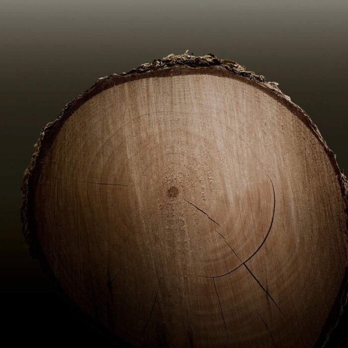 Burberry Hero Erkek Parfüm 200 Ml Refill - 5