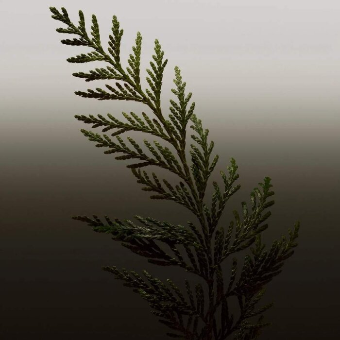 Burberry Hero Erkek Parfüm 200 Ml Refill - 4