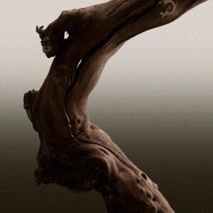 Burberry Hero Erkek Parfüm 200 Ml Refill - 6