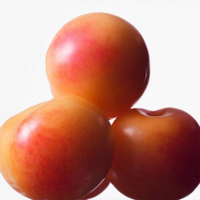 Calvin Klein Euphoria Women Kadın Parfüm Edt Spray 100 Ml - 5