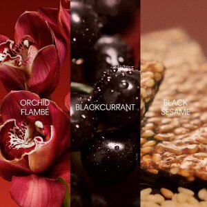 Calvin Klein My Euphoria Kadın Parfüm Edp 100 Ml - 3