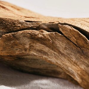 Chloé Eau de Parfum Intense 150 Ml Refill - 5