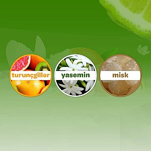 Dalin Bebek Kolonyası Orman Esintisi 150 Ml - 3