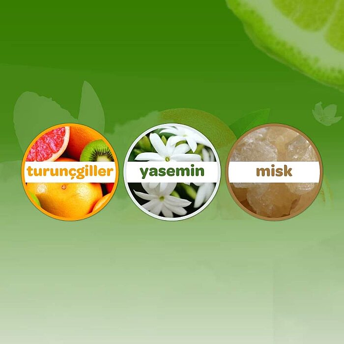 Dalin Bebek Kolonyası Orman Esintisi 150 Ml - 3