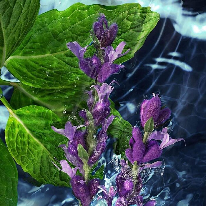 Davidoff Cool Water Erkek Parfüm Edt 125 Ml - 4