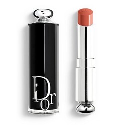 Dior - Dior Addict Lipstick 531