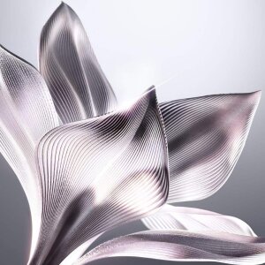 Dior Capture Care Creme Jar 50 Ml - 5