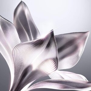 Dior Capture Soft Creme Jar 50 Ml - 4