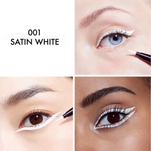 Dior Diorshow Liquid Liner 001 - 2