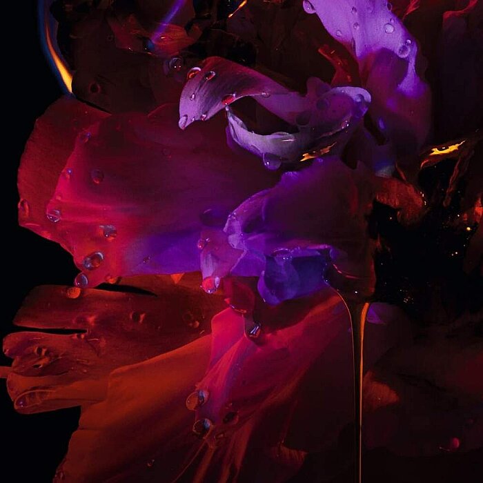 Dior Hypnotic Poison Kadın Parfüm Edp 50 Ml - 2