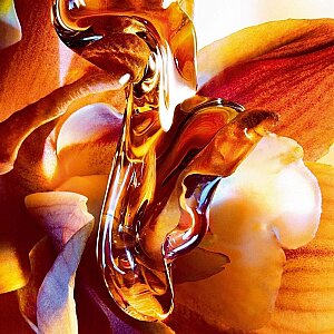 Dior Jadore Intense Kadın Parfüm 50 Ml - 4