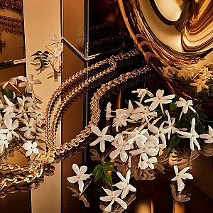 Dolce & Gabbana The One Gold Kadın Parfüm Edp Intense 50 Ml - 4