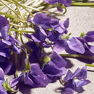 Dolce&Gabbana Dolce Violet Kadın Parfüm Edt 50 ML - 3