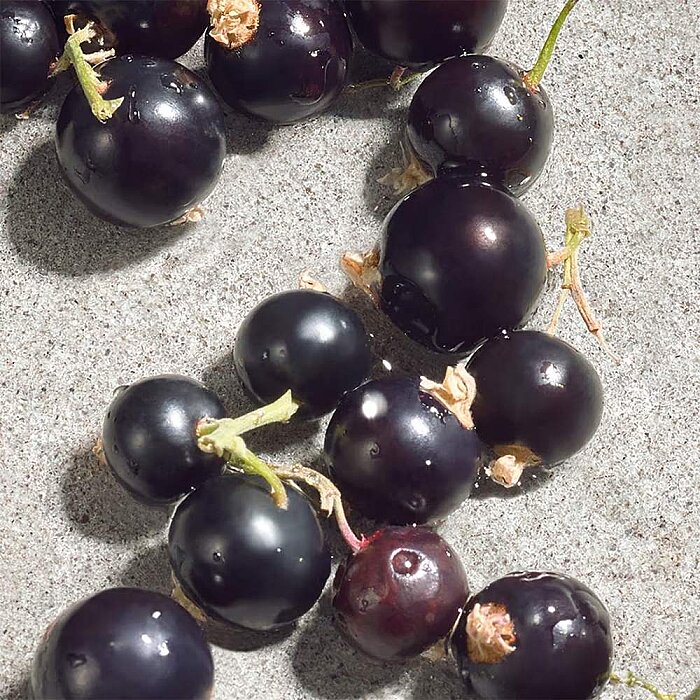 Dolce&Gabbana Dolce Violet Kadın Parfüm Edt 75 ML - 5