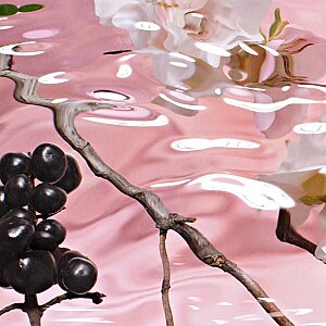 Estee Lauder Desert Eden Kadın Parfüm Edp 100 Ml - 3