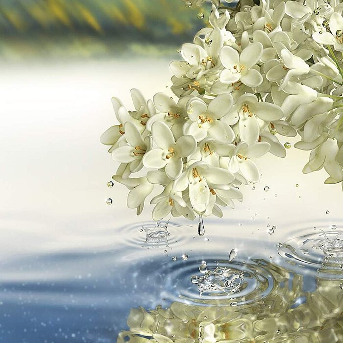 Estee Lauder Paradise Moon Kadın Parfüm Edp 100 Ml - 3