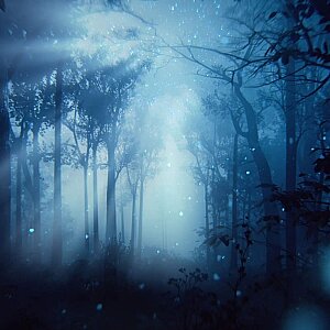 Estee Lauder Paradise Moon Kadın Parfüm Edp 100 Ml - 5