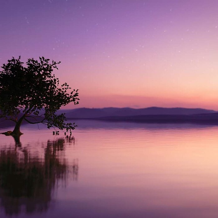 Estee Lauder Sensous Stars Kadın Parfüm Edp 100 Ml - 5