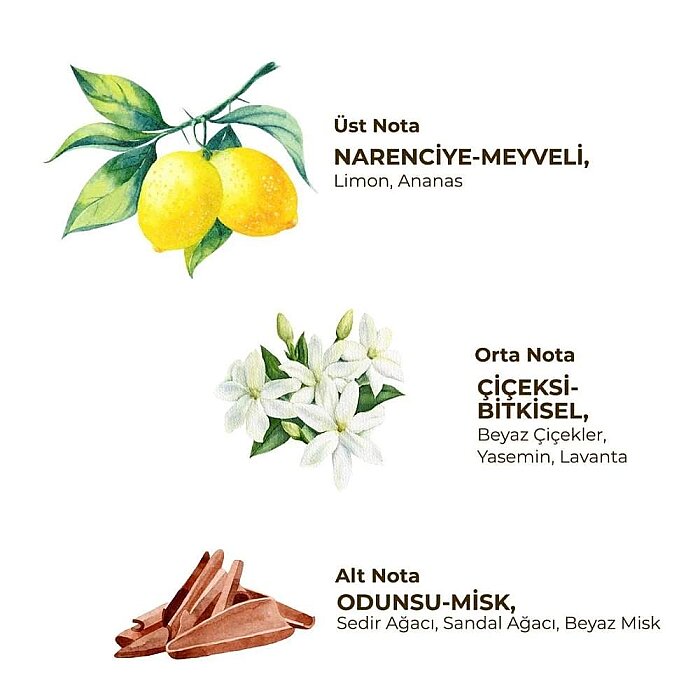 Eyüp Sabri Tuncer Kadın Roll-On Fresh 75 Ml - 2