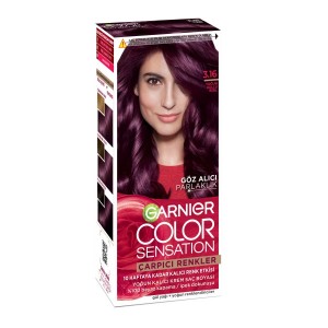 Garnier Saç Boyası - Garnier Çarpıcı Renkler Saç Boyası 3.16 Yoğun Küllü Kızıl
