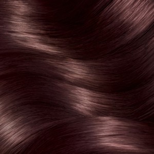 Garnier Çarpıcı Renkler Saç Boyası 4.15 Buzlu Kestane - Thumbnail