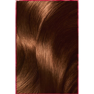 Garnier Çarpıcı Renkler Saç Boyası 5.35 - 2