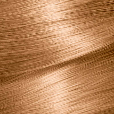 Garnier Color Naturals Saç Boyası 7.3 Fındık Kabuğu